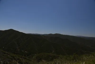 DSC_5892 (Large).JPG